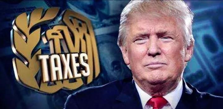 特朗普移民政策最新动态,邻里情感纽带与趣事分享