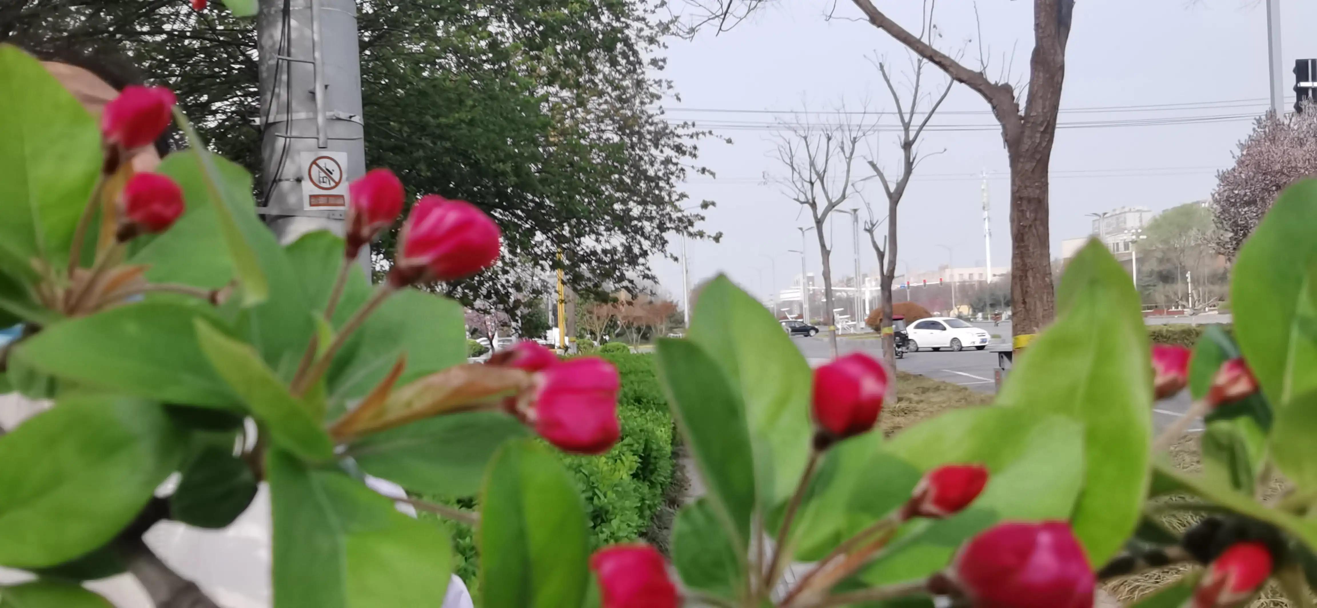 聊城高新区最新动态,自然美景之旅探寻心灵宁静的港湾