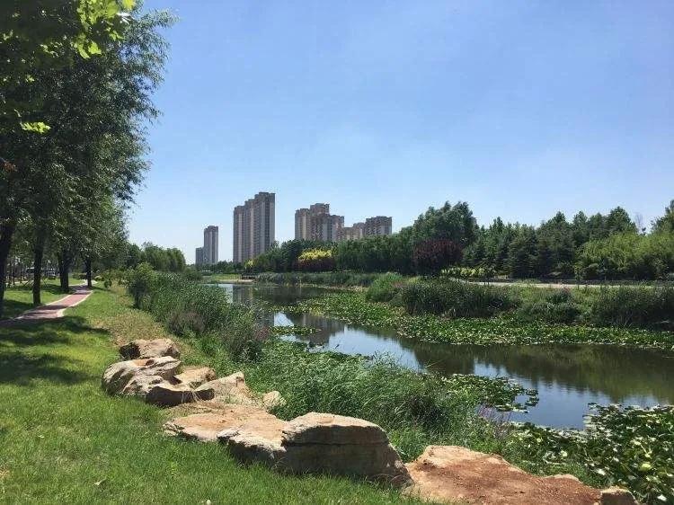 聊城高新区最新动态,自然美景之旅探寻心灵宁静的港湾
