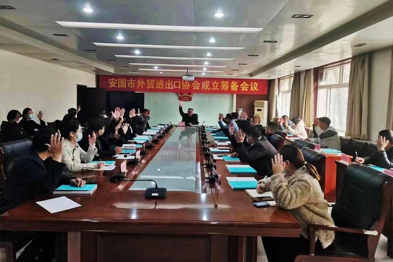 保定33路最新路线,城市温情之旅启程