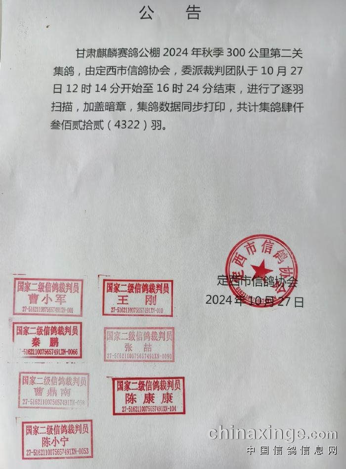 青海长平公棚最新通告,友情与欢乐的栖息地揭秘!