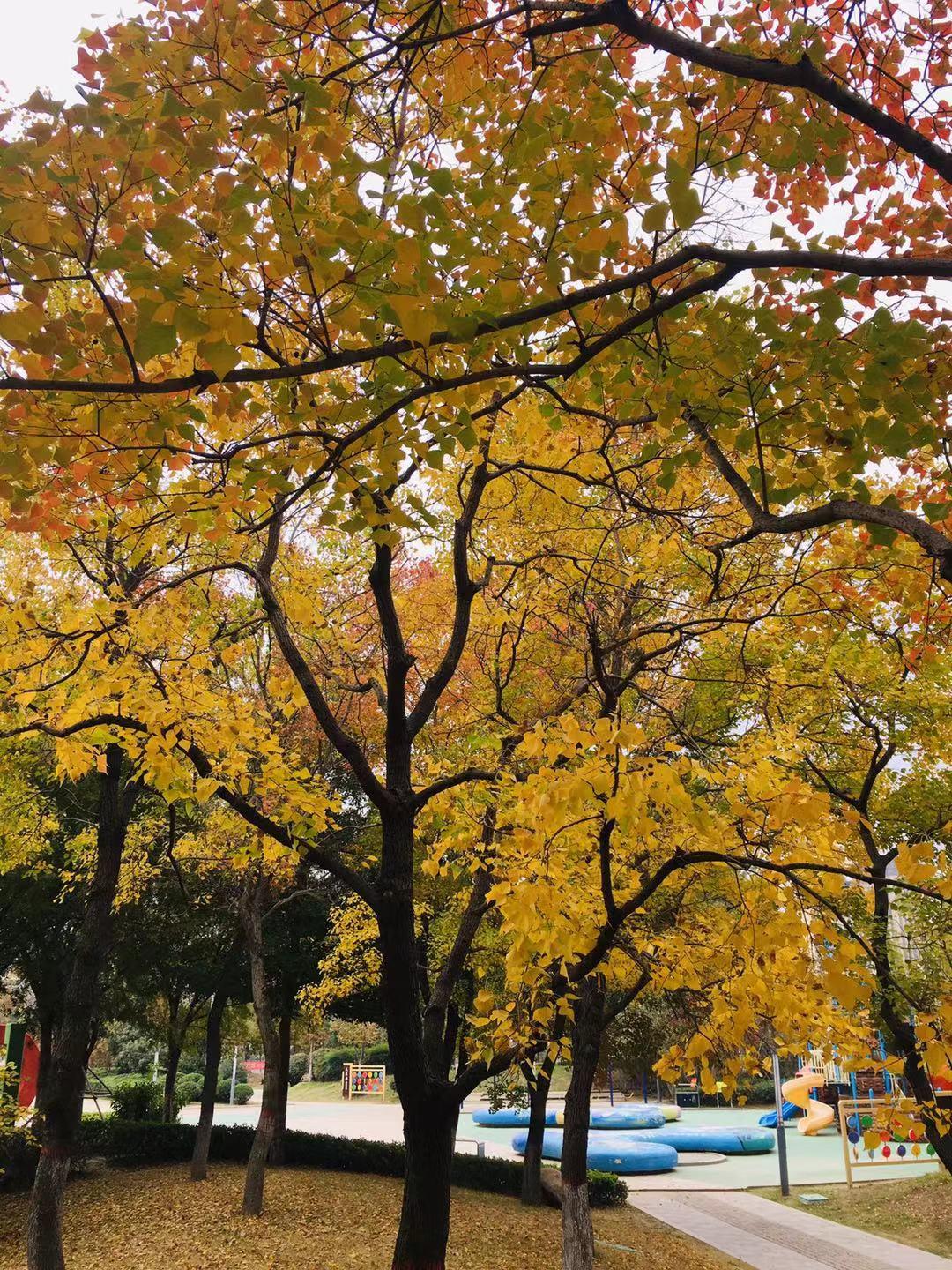 高压旋转接头 第565页