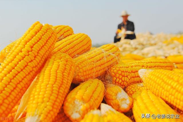 高压旋转接头 第564页