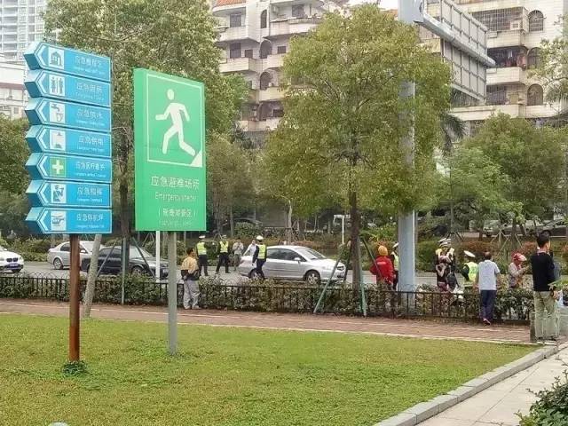 阳江创卫最新动态，日常趣事中的温暖与陪伴之路