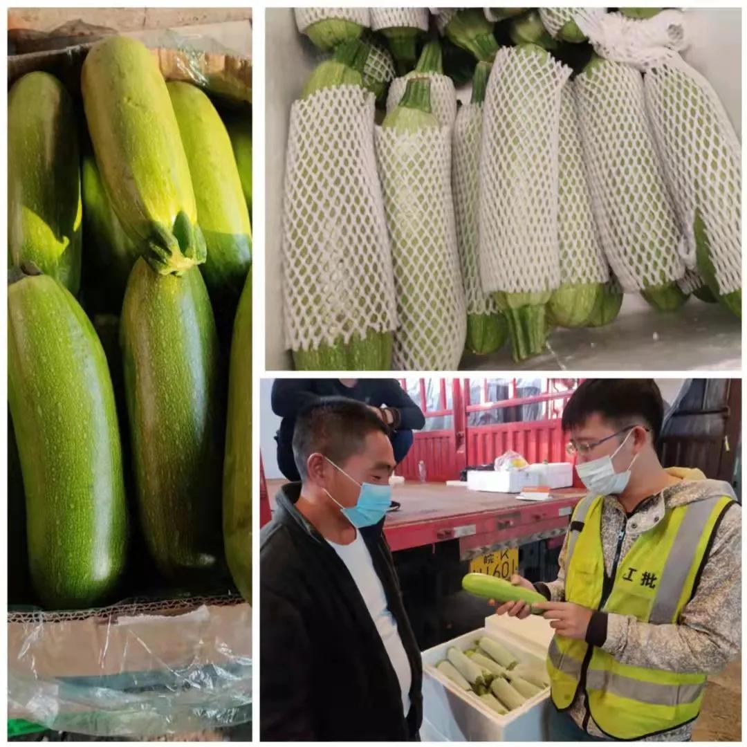 高压旋转接头 第563页