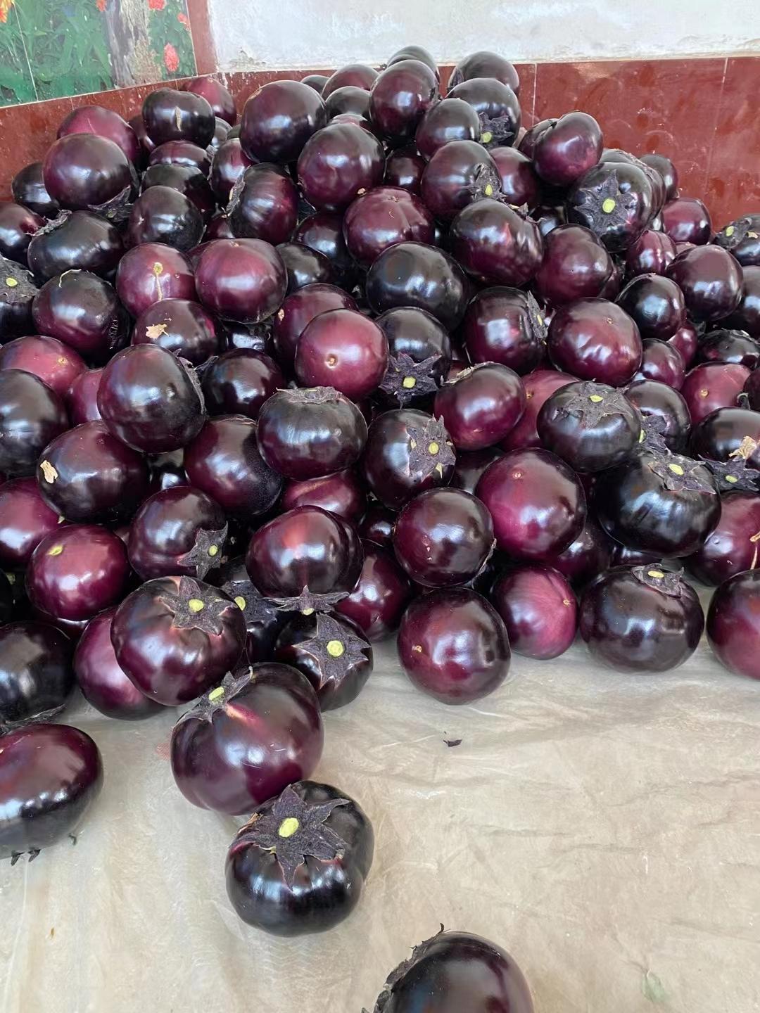 最新胡萝卜价格走势图及其背后的温馨故事