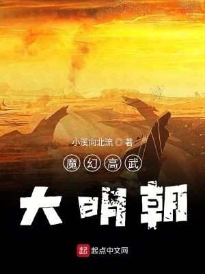 大明新球长最新章节,小巷奇遇揭秘时刻