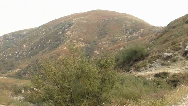 阴阳秘录庙岭沟最新攻略与详细步骤指南