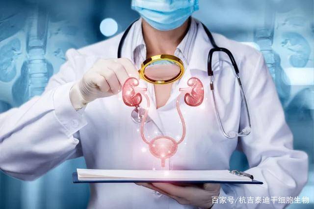 干细胞治疗肾病最新进展,穿越自然美景探寻生命再生之源