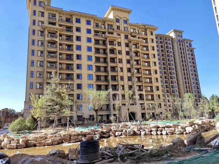 天海容天下最新动态,友情与陪伴的温馨故事