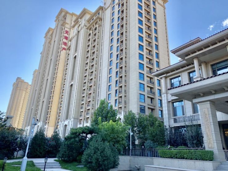 天海容天下最新动态,友情与陪伴的温馨故事