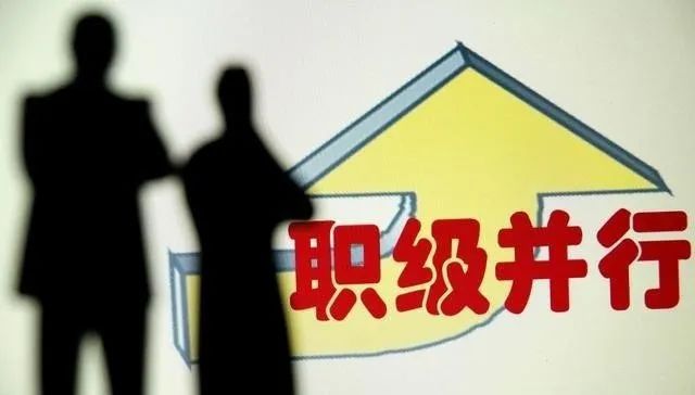 职级并行改革最新动态,春风拂过日常,改革故事与你我同行