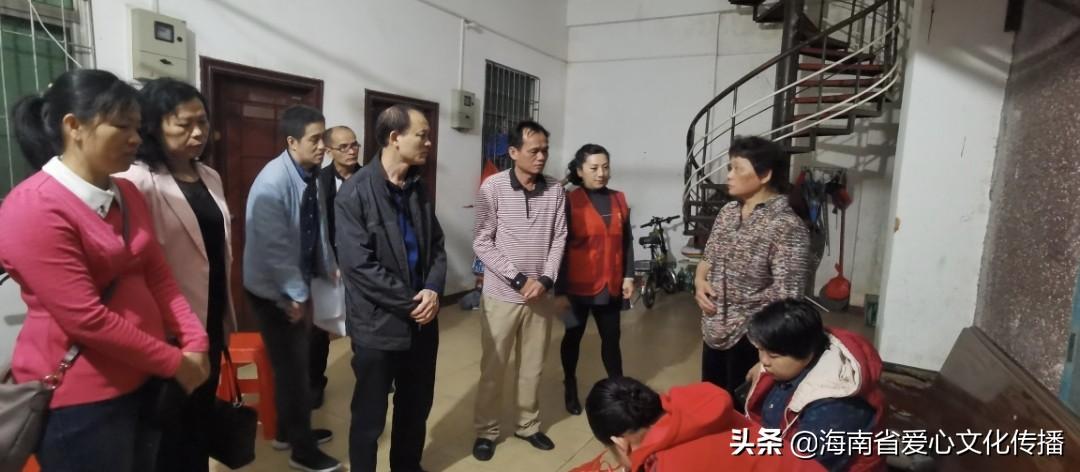 残疾退休最新政策,探索自然美景的轻松之旅启程