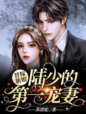 陆少的医神娇妻,城市温情日常最新章节