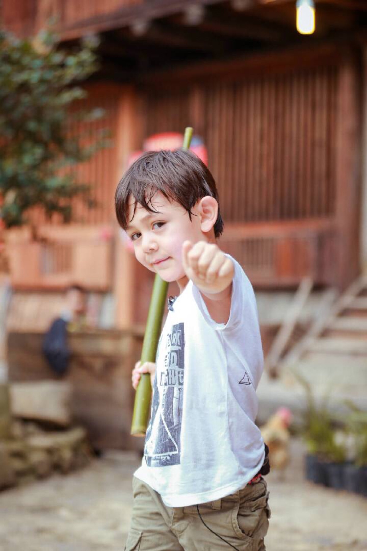 刘诺一最新动态全面解读,影响与观点分析揭秘