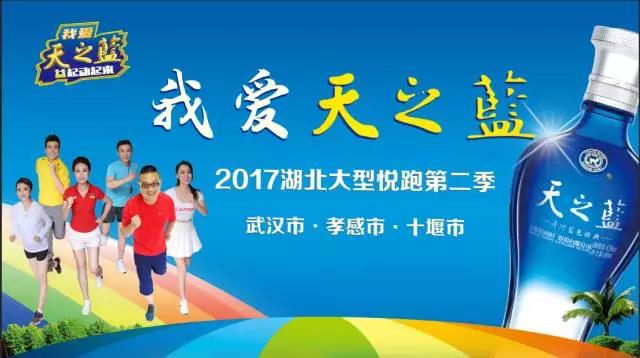 洋河酒厂官网最新招聘,小巷酒香与职业机遇共舞