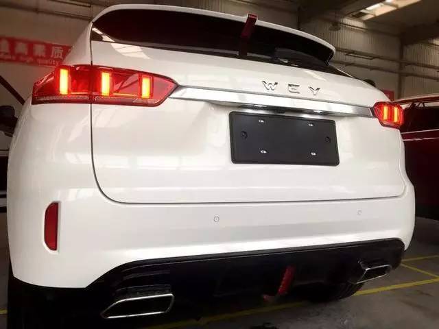 魏派W01最新自然美景探索视频,追寻内心的平和与喜悦之旅