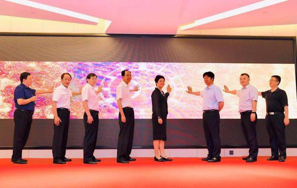 清风中原最新发布深度解读,背景、事件与影响全解析