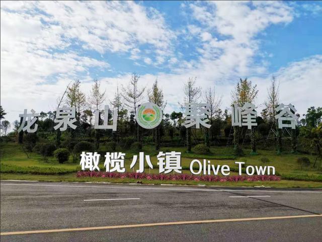 金堂足球小镇最新动态,进展、争议与前景展望