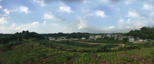 简阳市禾丰镇最新规划🌟概览