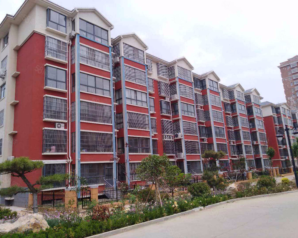 平邑莲花新城最新动态,变化中的新城,学习铸就自信与成就之路