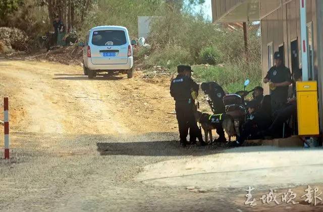 云南逃犯越狱最新动态及应对步骤指南