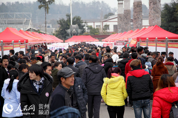 贞丰锦丰公司最新招聘,观点论述与岗位信息解析