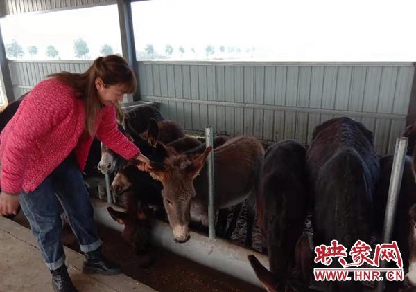 河南新蔡,科技之光引领未来发展之路