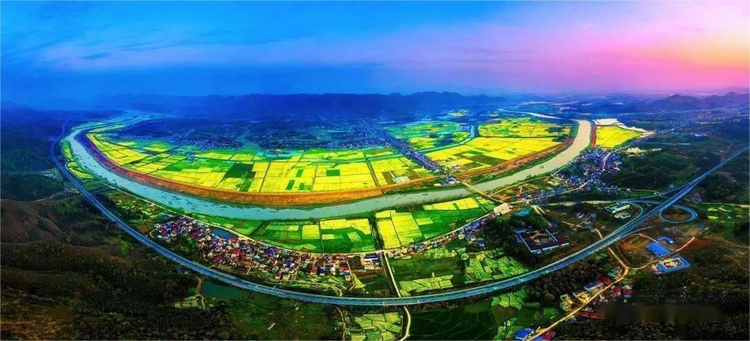 阳新龙港最新动态,小巷深处的独特风味探索