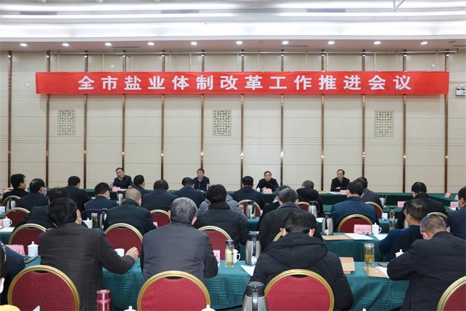 盐业改革进展揭秘,友情与家庭的交织之旅,甜咸交织的奇妙旅程