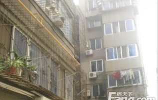 西安汉城壹号最新动态新闻速递✨