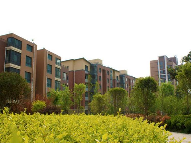 金山东方花园最新房价,金山东方花园的房价与家的温暖