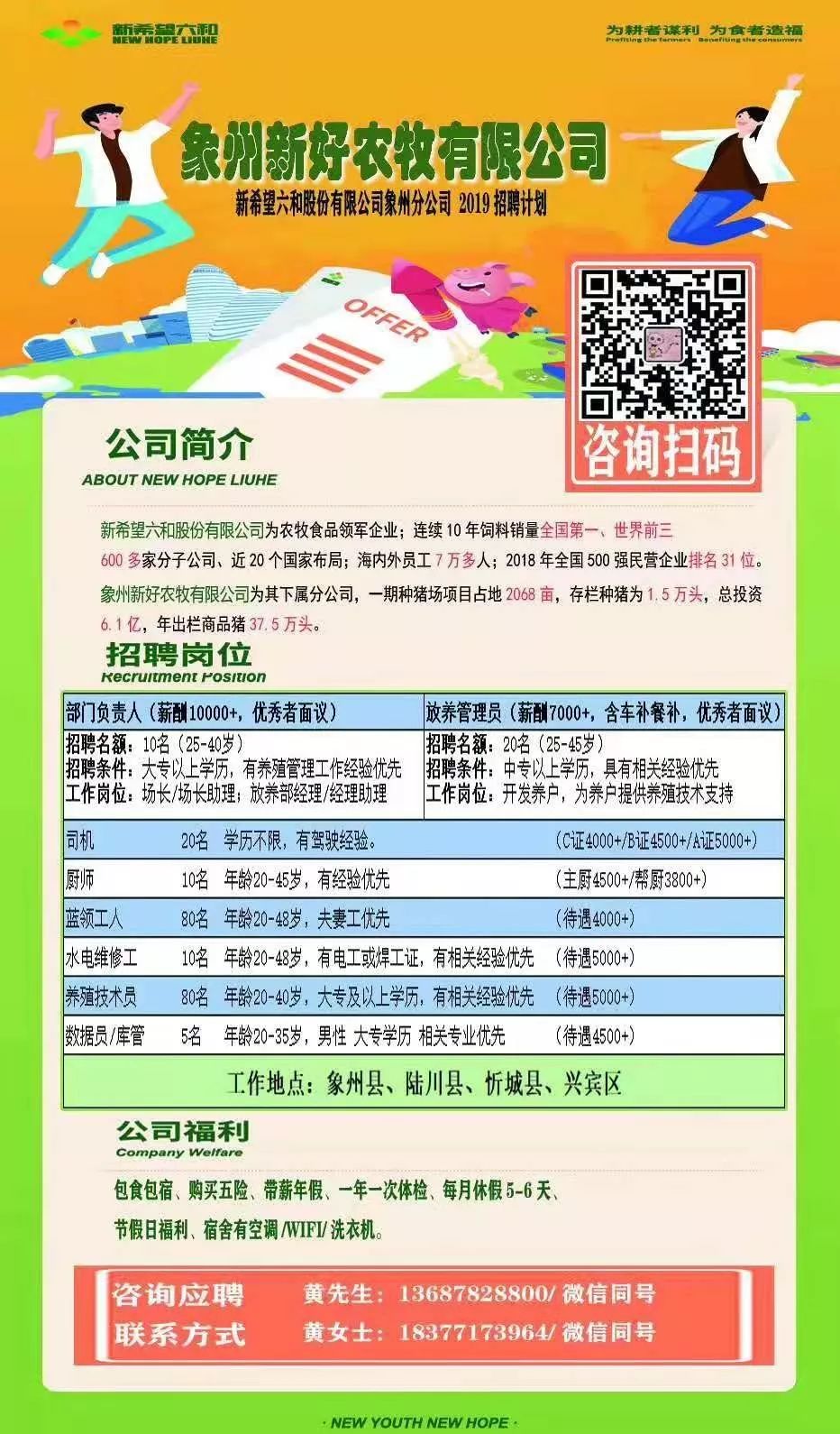 粤西农批最新招聘消息,职业发展的新机遇探索