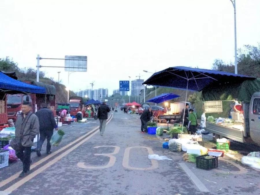 金堂淮口最新发展规划揭秘,未来蓝图展望