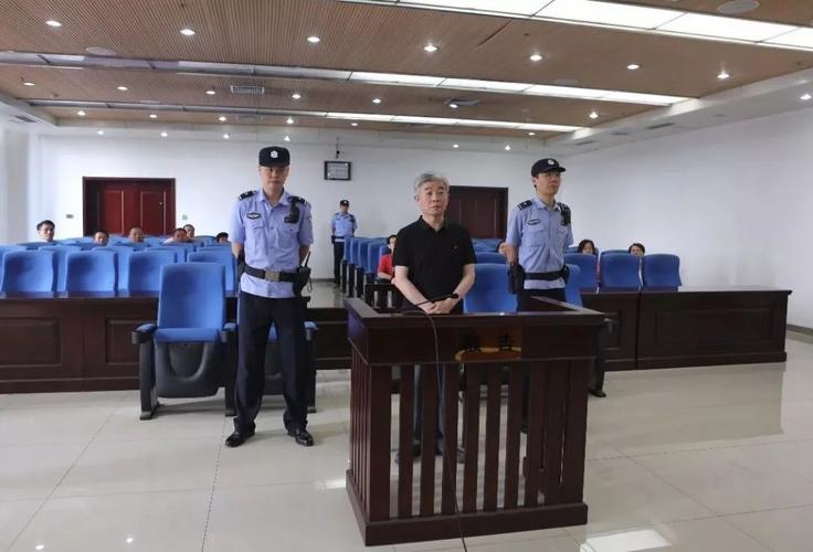 国投新集刘谊的最新动态与资讯🌟