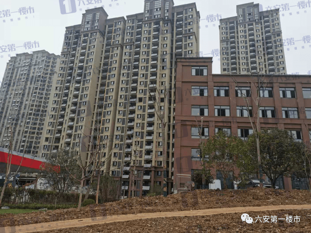 六安皋城王府最新论坛,变化中的学习,自信与成就的力量探讨