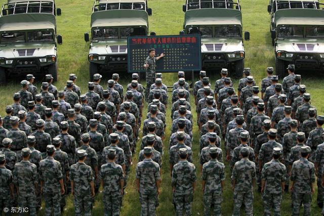 揭秘犯罪问题背后的真相,探究16集团军最新编制内幕