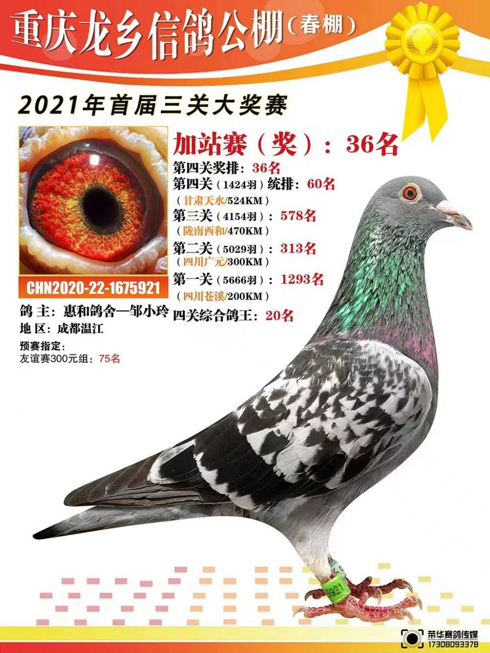 重庆龙乡赛鸽公棚，科技引领赛鸽新纪元，重塑体验开启未来鸽界篇章