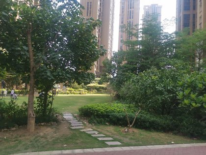 仙游皇庭美域最新动态,多维度分析与观点阐述