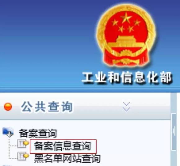 小鱼儿最新主页,探索未知世界的全新域名体验