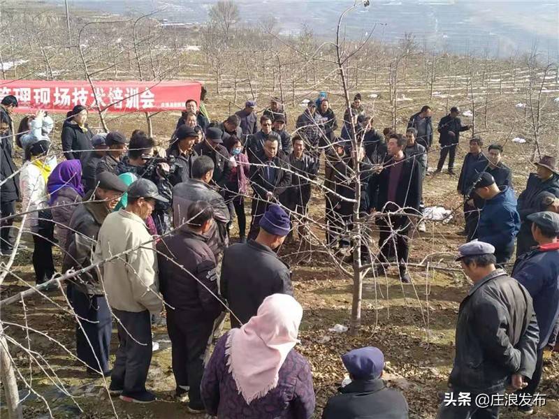 水洛镇崖王村最新动态及其影响，一种观点解析