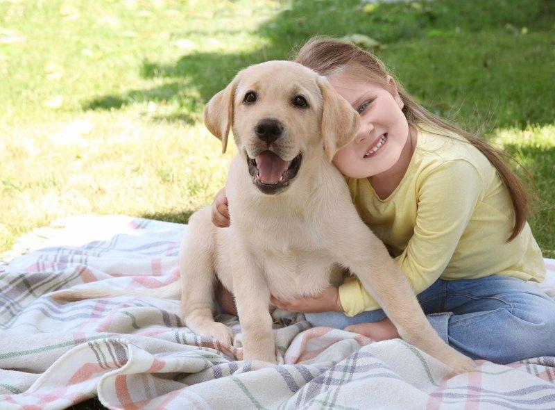 9个月孩子当狗养,励志成长之旅开启新篇章