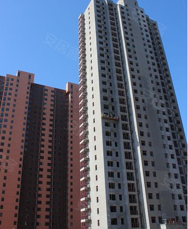 天琦贵和世家最新动态与温馨日常揭秘