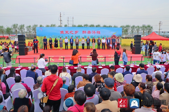 日照市涛雒镇最新新闻报道汇总