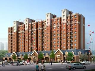 保定赢佳立源最新动态，友情的温暖与日常趣事揭秘