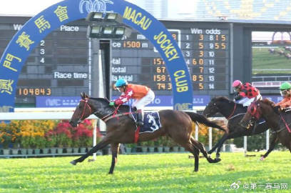马会传真资料2024新澳门,时尚法则实现_PGL83.108图形版