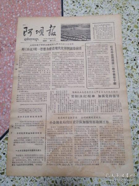 2024澳门天天六开好彩,现代化解析定义_VSI58.376光辉版