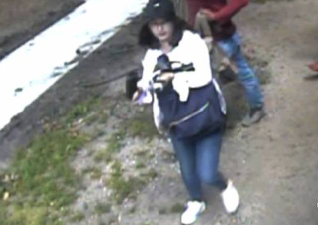 在美失踪女子最新情况,重生与内心平静的探寻之旅