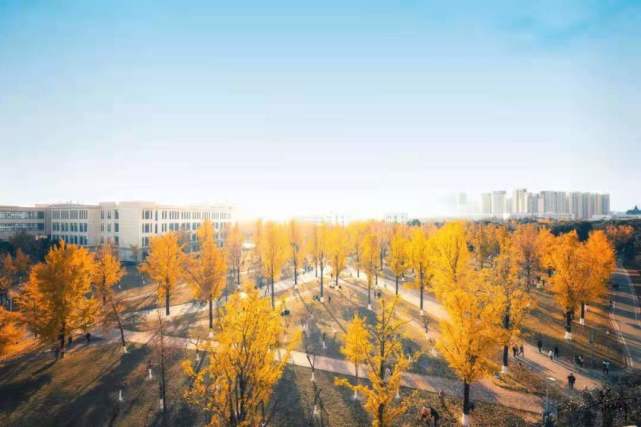 2024年管家婆资料天天踩,科学分析解释说明_AZI9.863VR版