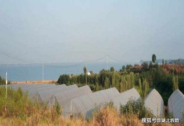 鄂州市沼山镇最新规划揭秘，规划中的温情日常